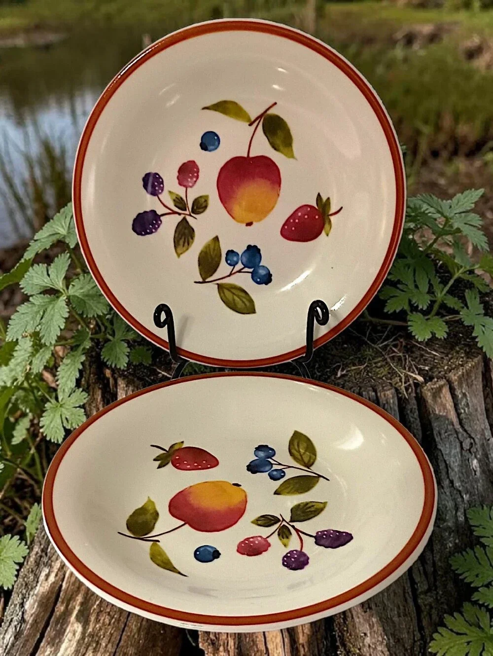 2 Longaberger Fruit Medley Plates Bread Berry Lunch Stoneware‎ Farmhouse Rustic